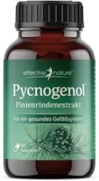 effective nature Pinienrindenextrakt hochdosiert Original Pycnogenol mit Vitamin C aus der Acerolakirsche - 60 vegane Kapseln - Reicht für zwei Monate - Vegan