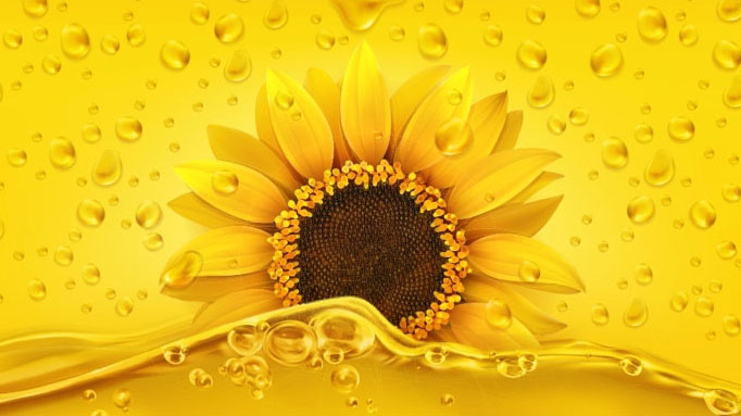 Titelbild Vitamin E - Sonnenblume